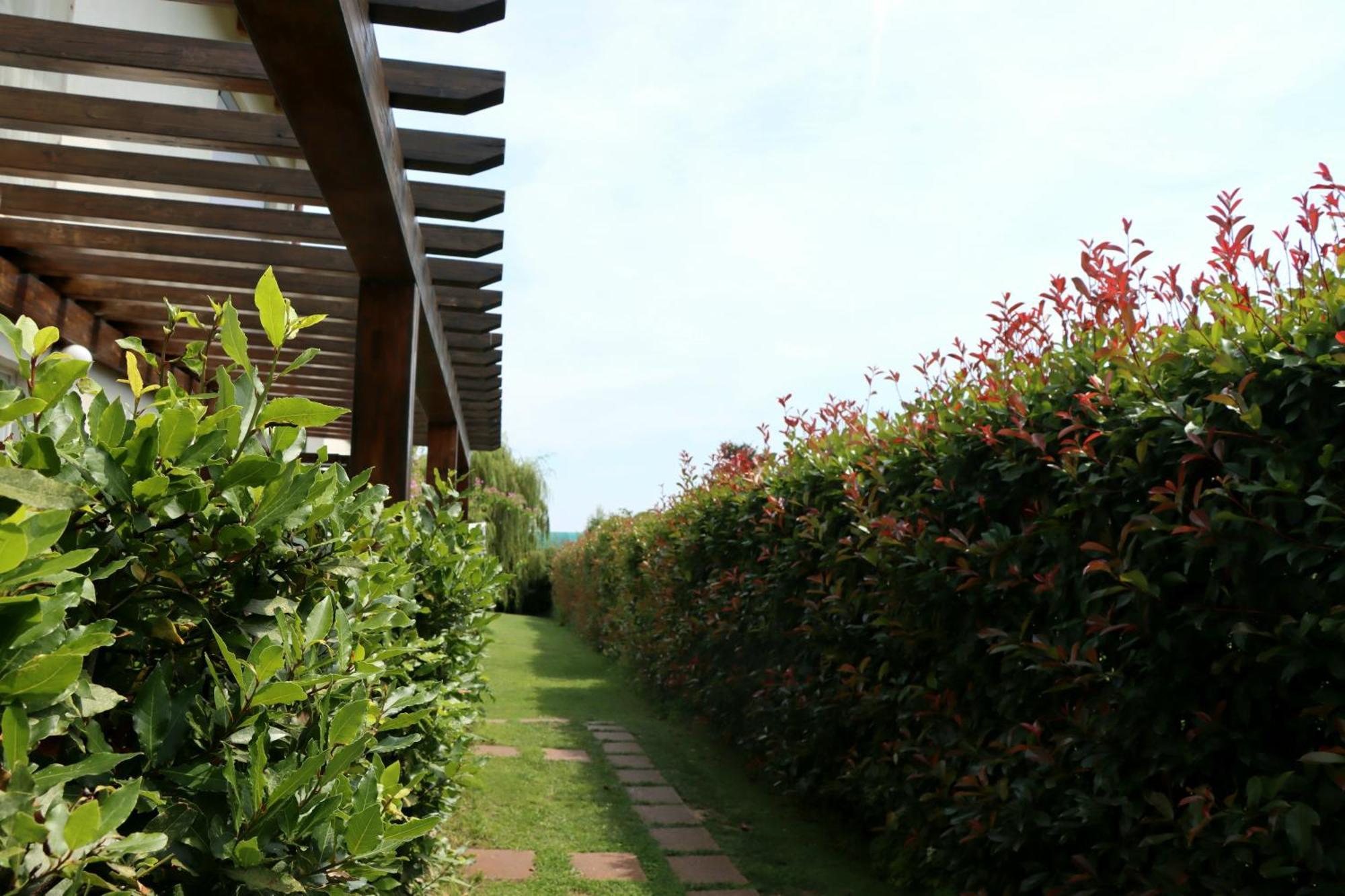 Bed & Breakfast Il Toscanello *