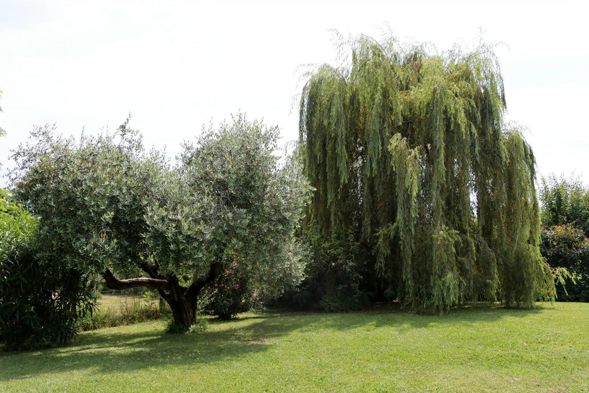 Bed & Breakfast Il Toscanello *